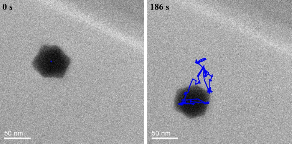 原位液体样品杆测试水溶液