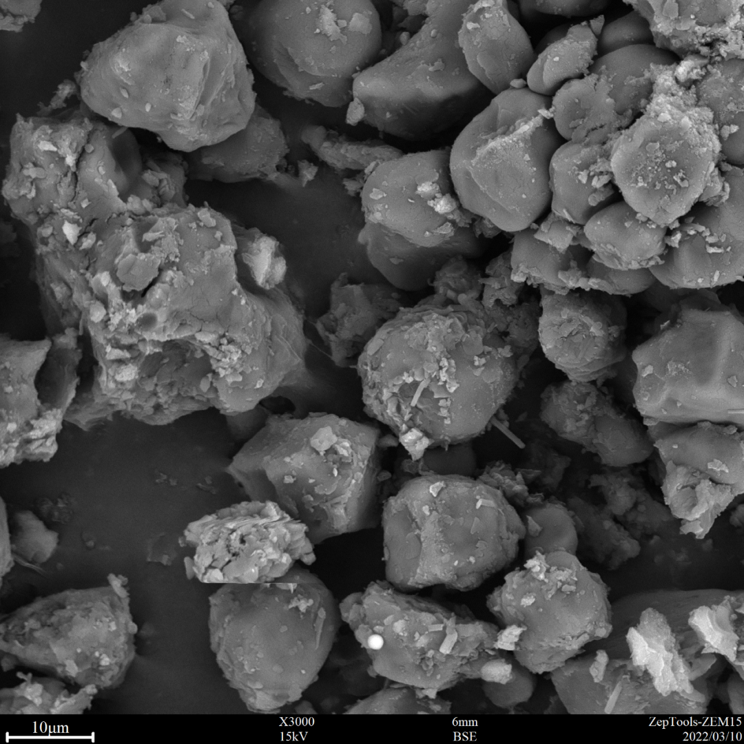 图11 氯雷他定（台式扫描电镜3000倍照） 