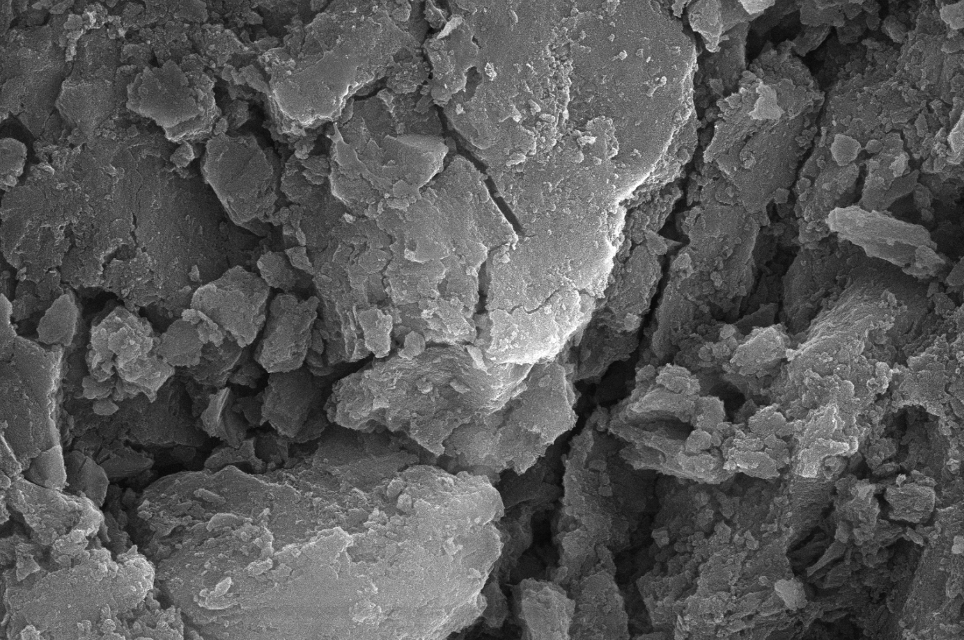 图b  20kV拍摄试样表面（扫描电镜拍摄）