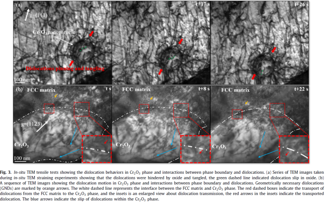 图3 原位拉伸中的结构表征.png