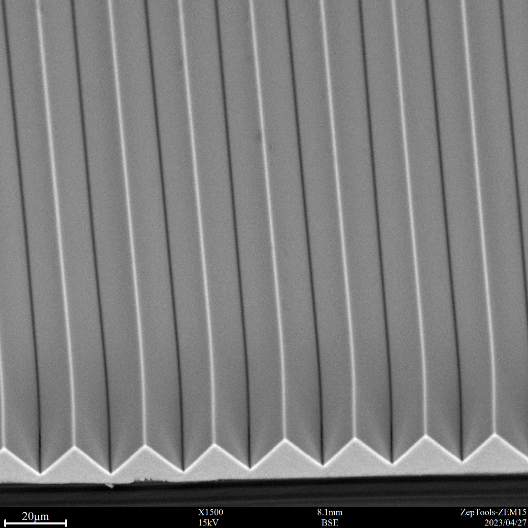 3M增量膜表面微观结构的SEM观察， BSE图像