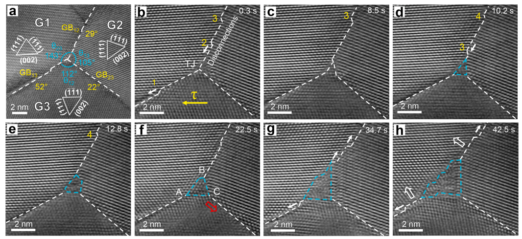 三叉晶界动态重构的原位观测