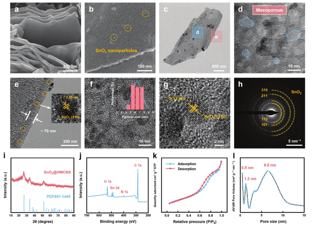 SnO₂@HMCNS的SEM图像
