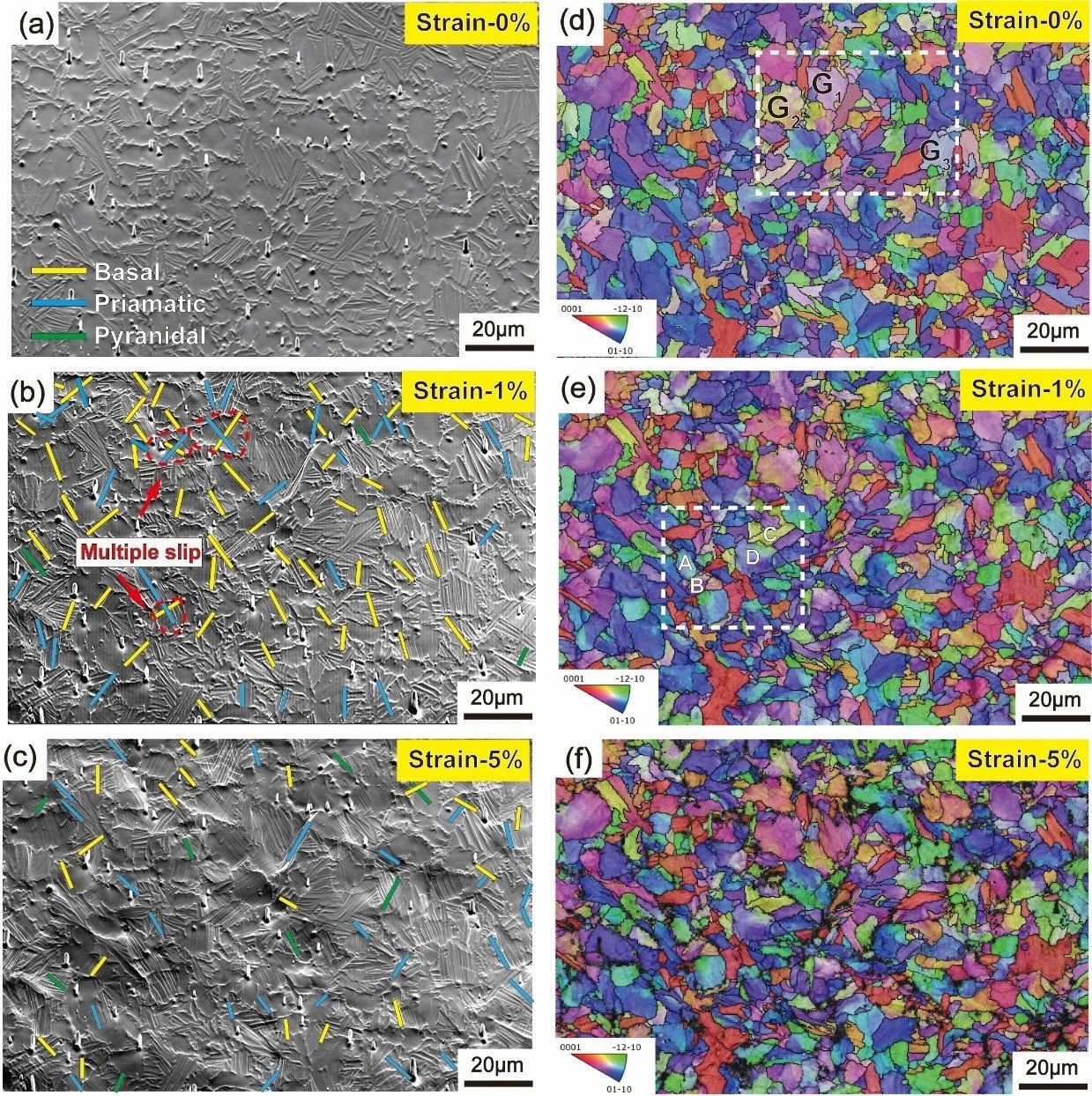 188博金宝网页官网原位SEM