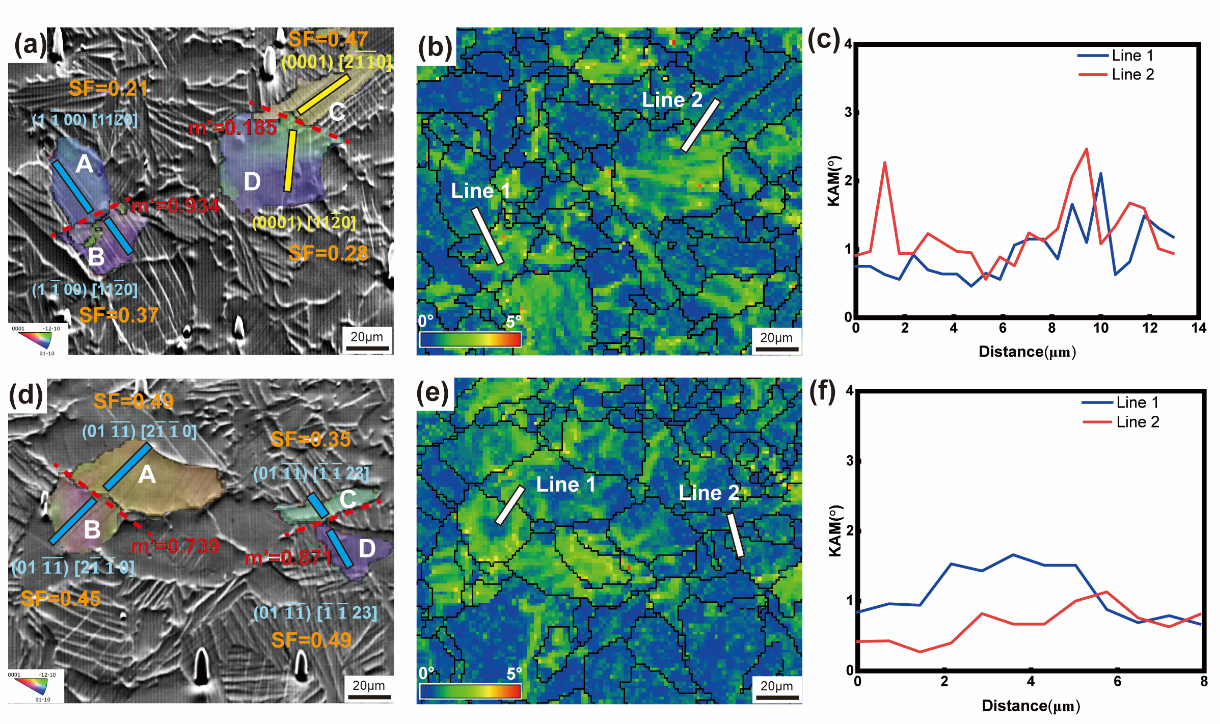 188博金宝网页官网原位SEM
