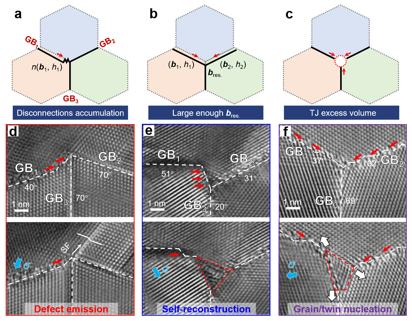 失配位错介导的TJ动力学非保守模式