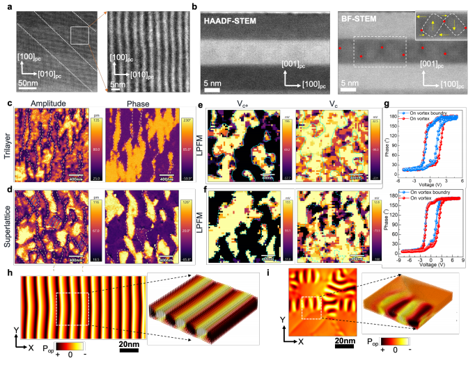 188博金宝网页官网原位TEM