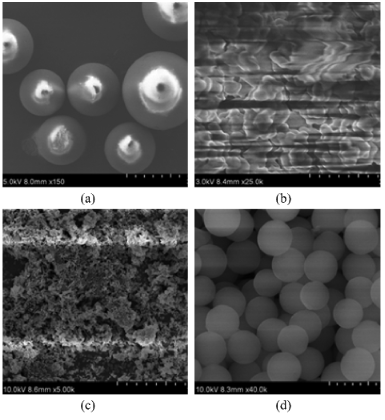 188博金宝网页官网扫描电镜