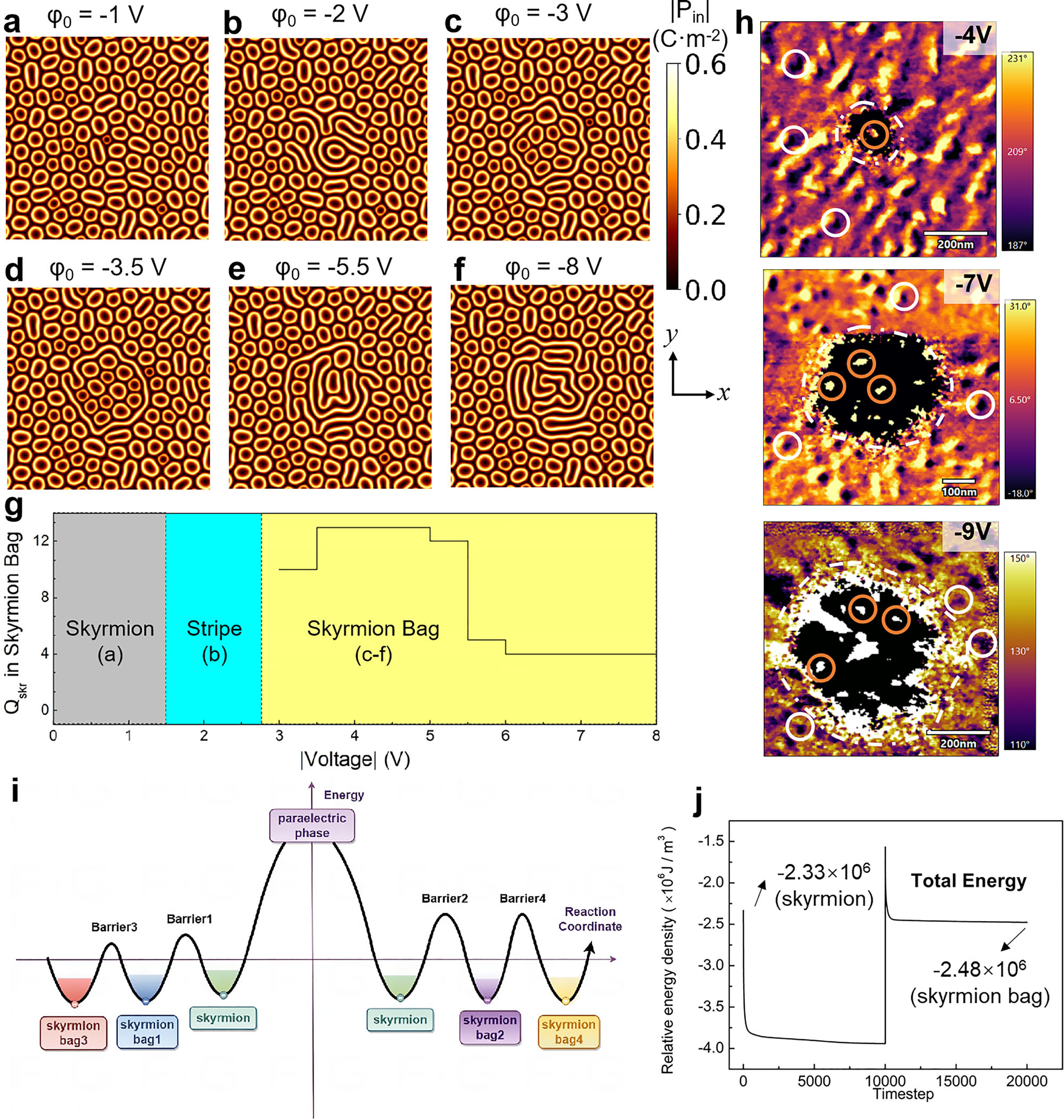 原位电子显微镜