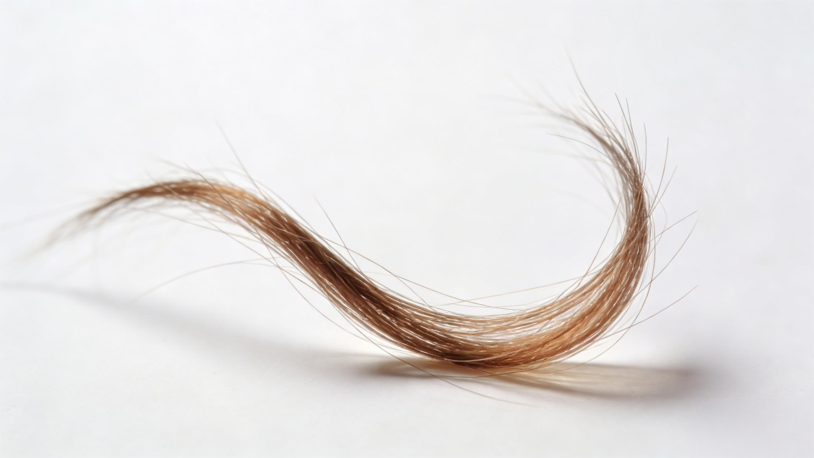 扫描电镜 扫描电镜