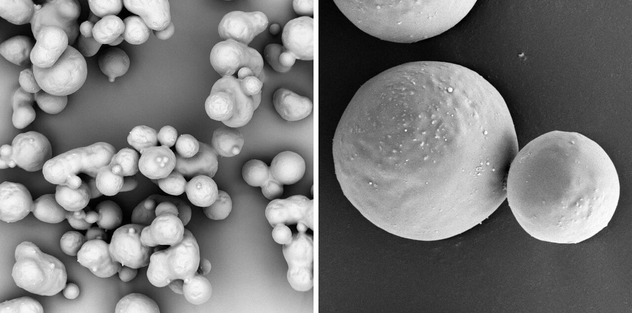 扫描电镜 扫描电镜