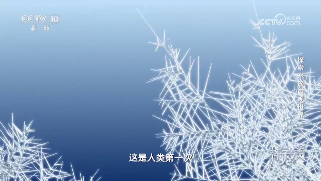 188博金宝网页官网 188博金宝网页官网