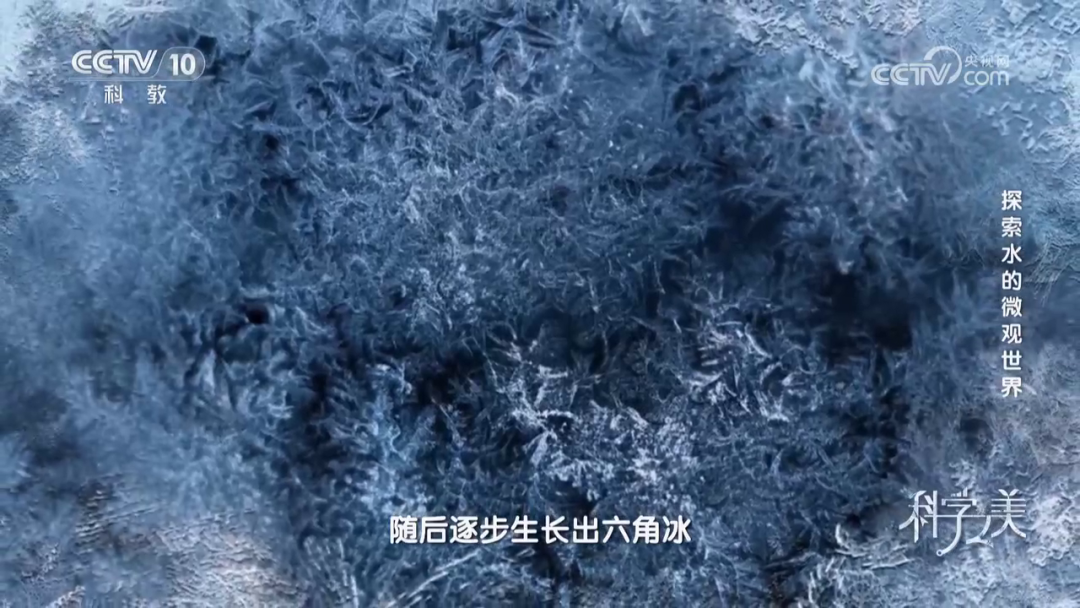 188博金宝网页官网 188博金宝网页官网
