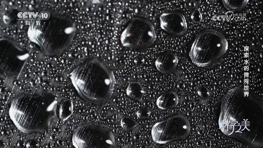 188博金宝网页官网 188博金宝网页官网