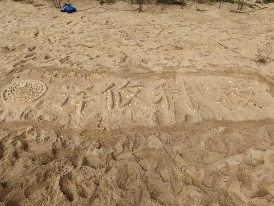 贝壳拼成的188博金宝网页官网LOGO