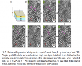 Physical Review Letters：北京大学利用原位TEM揭示电场下