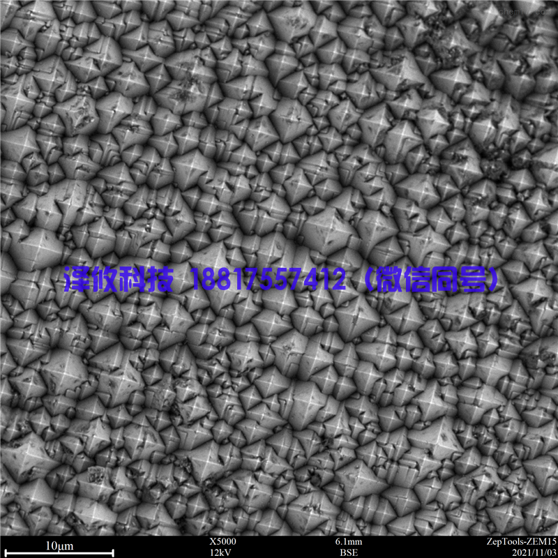 扫描电镜拍摄图片